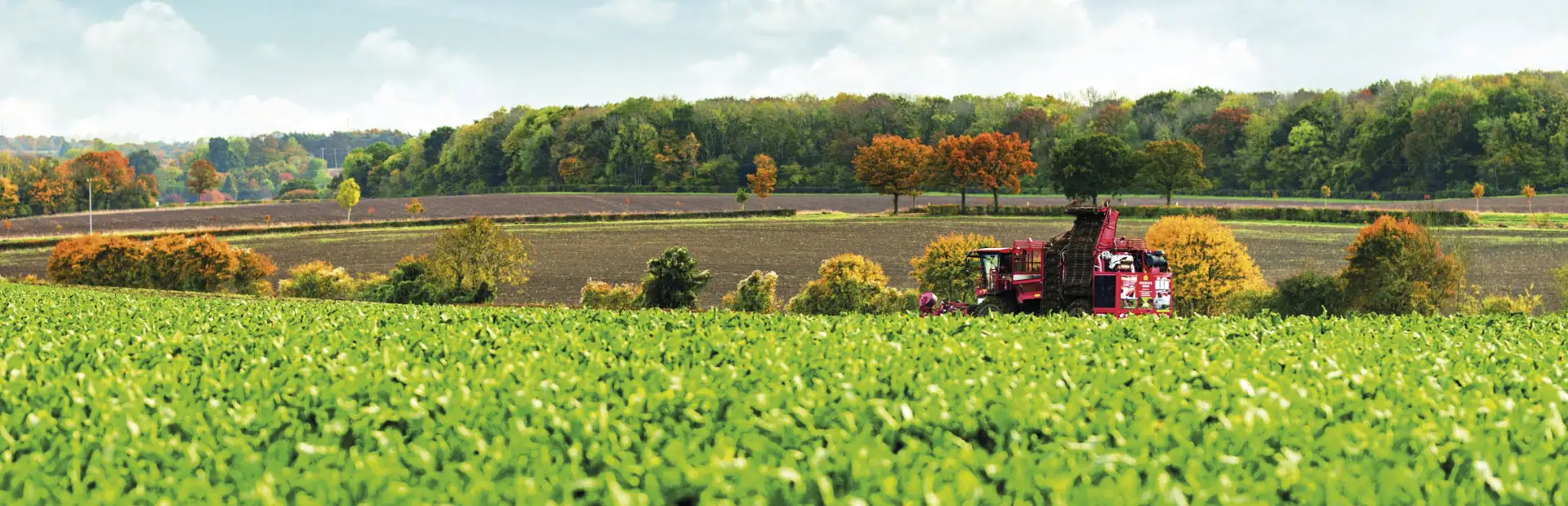 a red tractor in a field